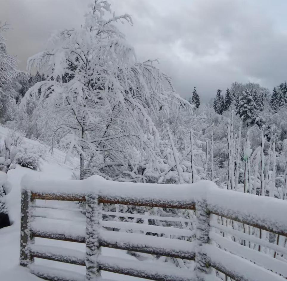Gite La Bergerie Chalet Independant Kirchberg Buitenkant foto